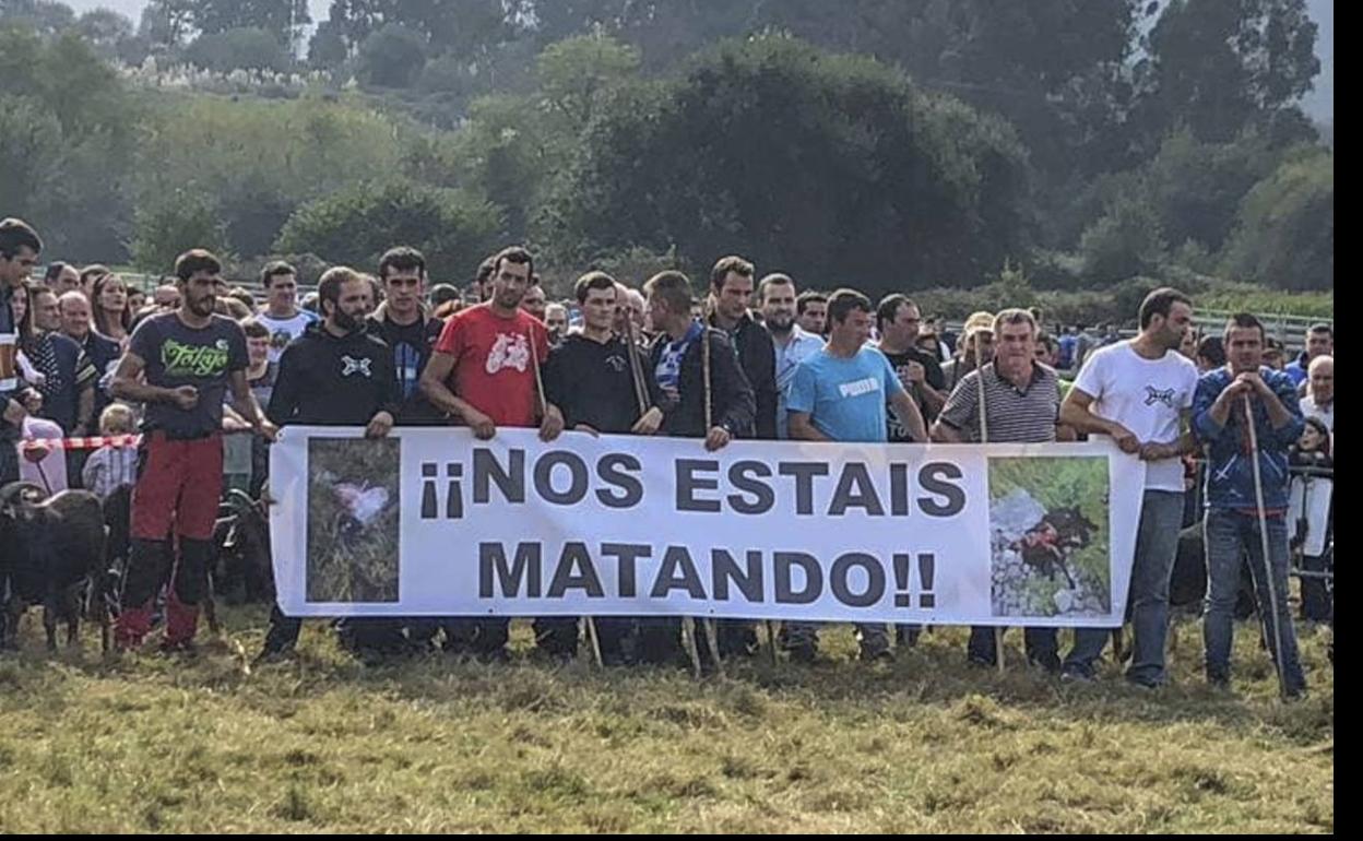 Protesta de ganaderos por los ataques de los lobos a sus rebaños en la feria ganadera de Guriezo