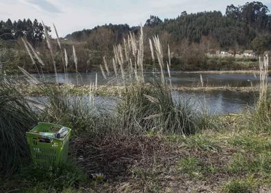 Imagen secundaria 1 - Vecinos de Barreda critican el estado de «abandono» del barrio La Tejera