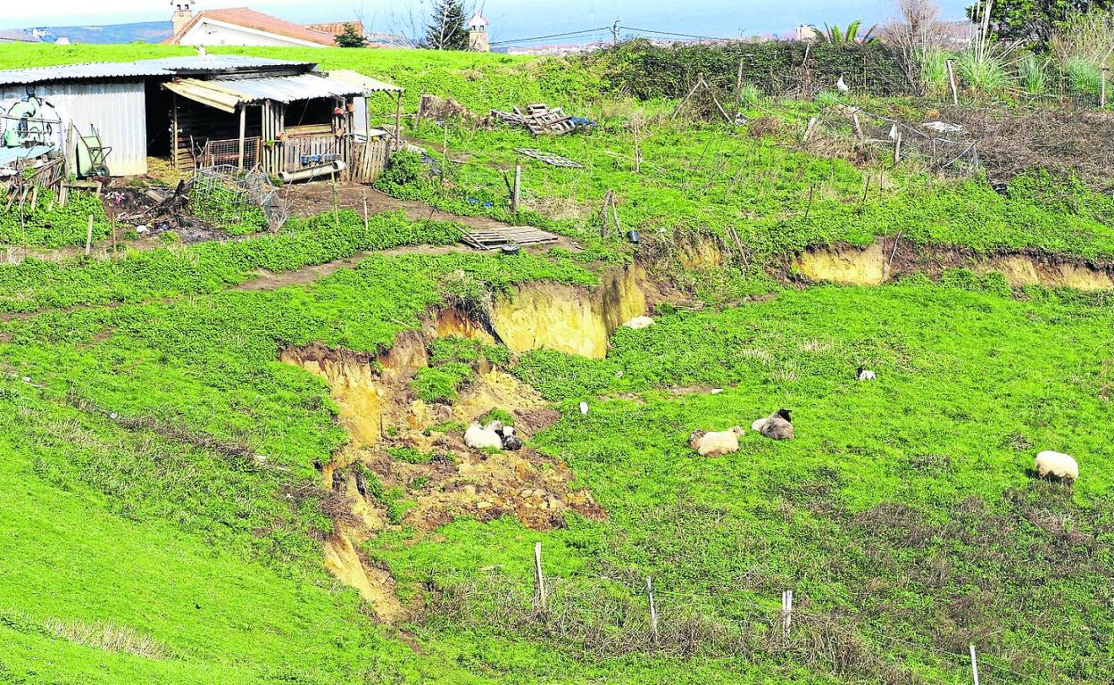 Vista del argayo surgido en la ladera de una finca privada, en el barrio El Juyo (Igollo), a 300 metros sobre la cueva homónima. 