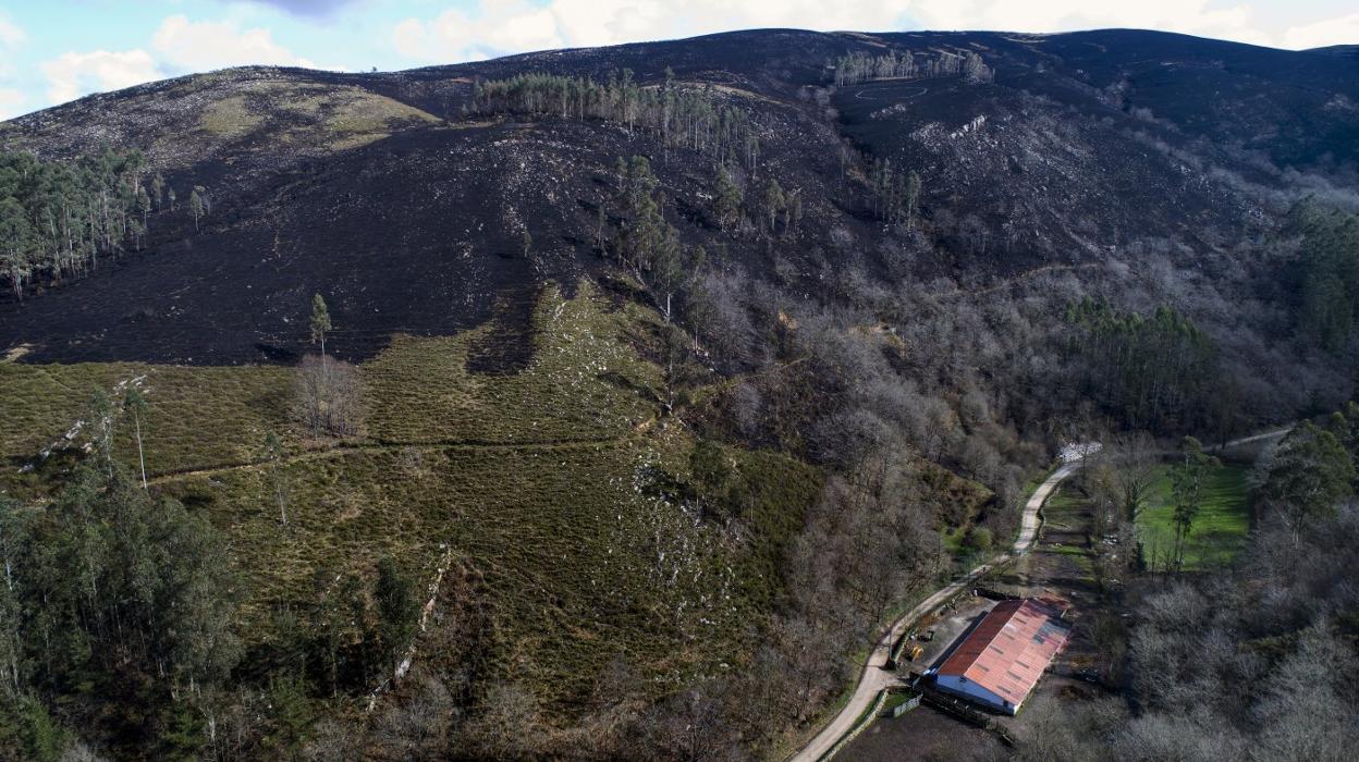 La imagen de Lamiña deja clara la vasta extensión de monte devorada este fin de semana por el fuego. 