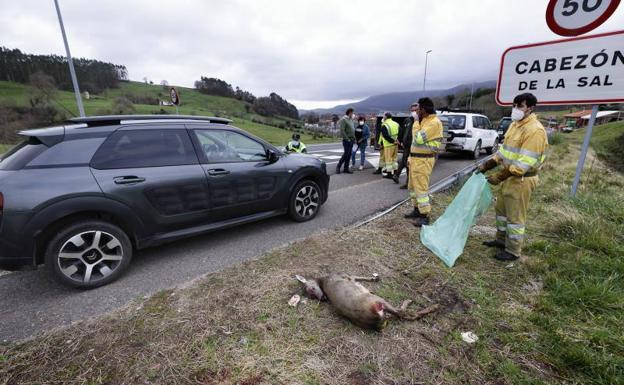 Sale ilesa tras atropellar a un corzo a la entrada de Cabezón de la Sal