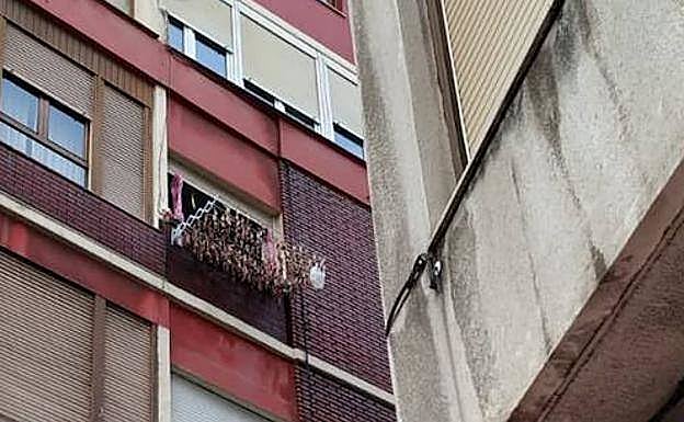 Imagen de los animales muertos colgados en el tendal a finales de enero.