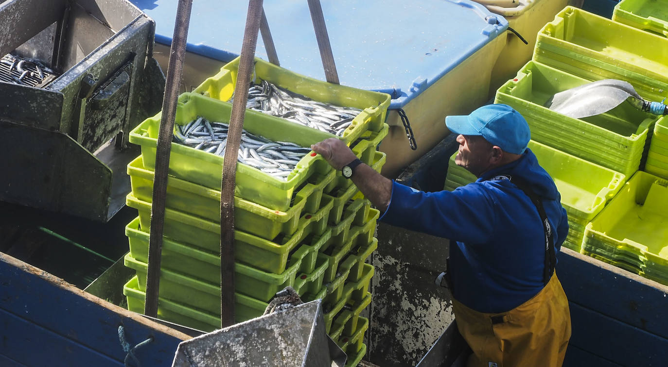 Fotos: Tiempo de pesca