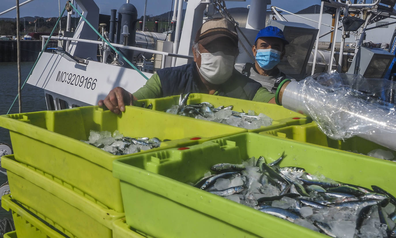 Fotos: Tiempo de pesca