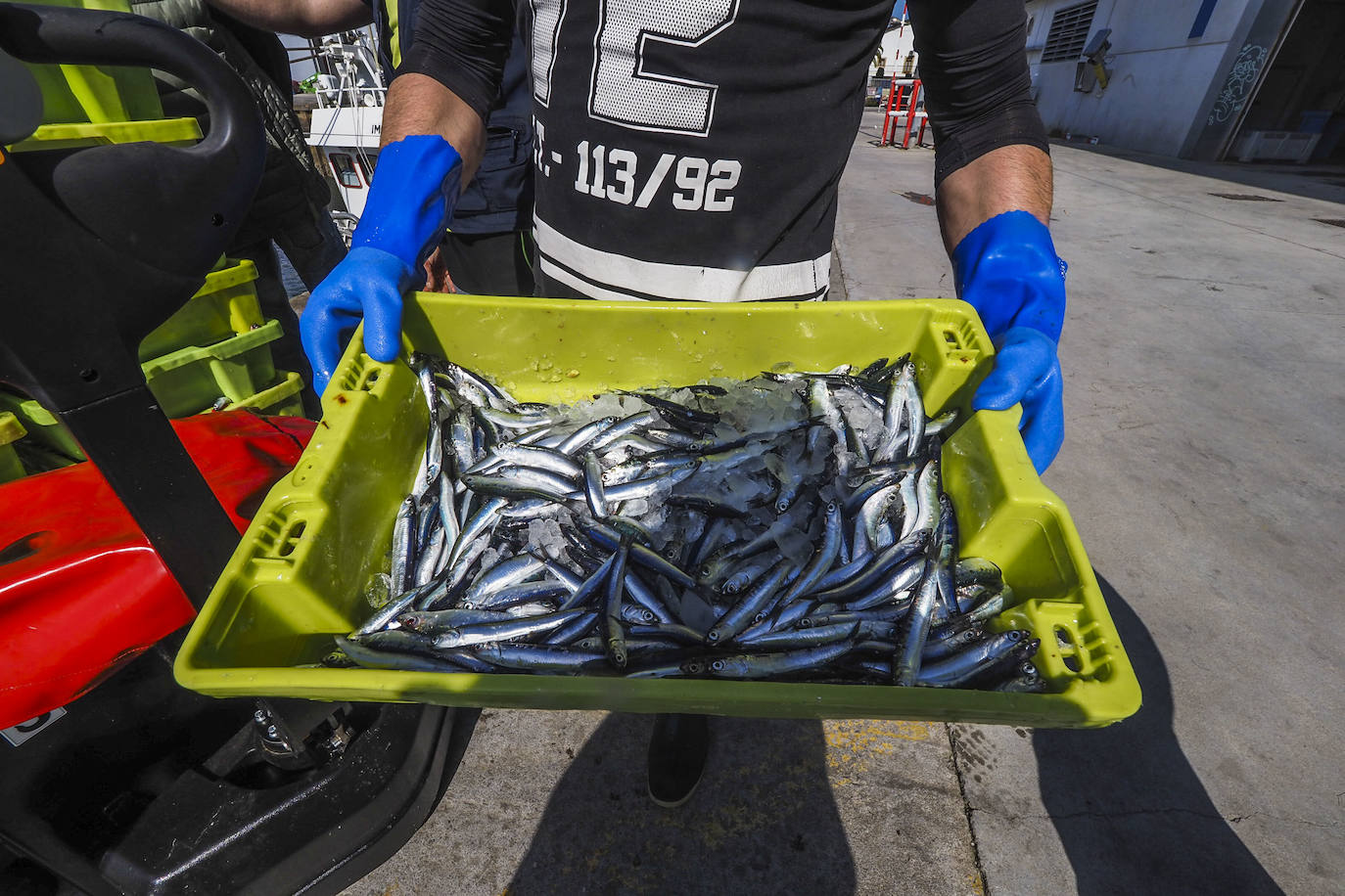 Fotos: Tiempo de pesca