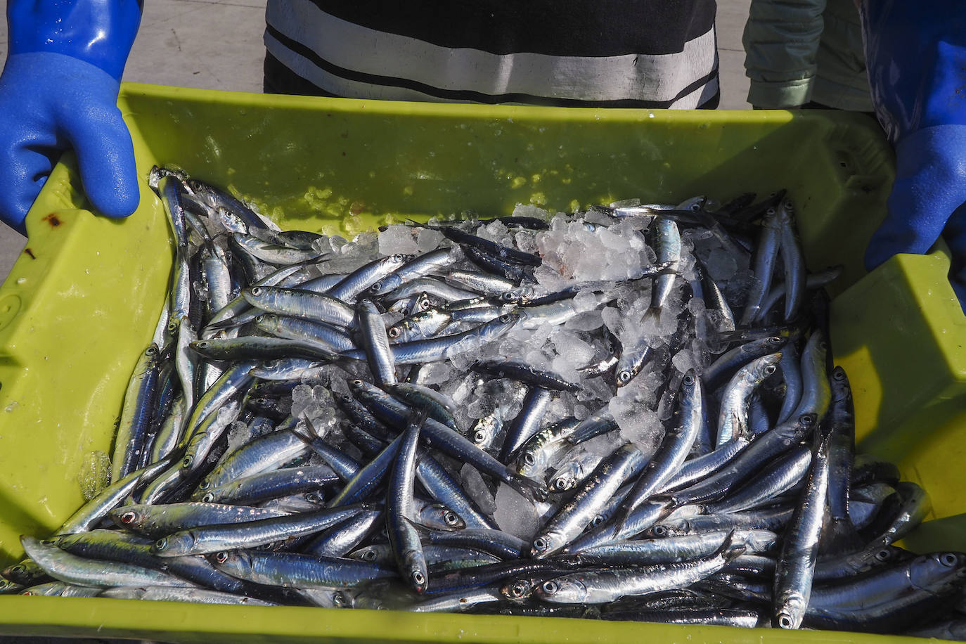 Fotos: Tiempo de pesca