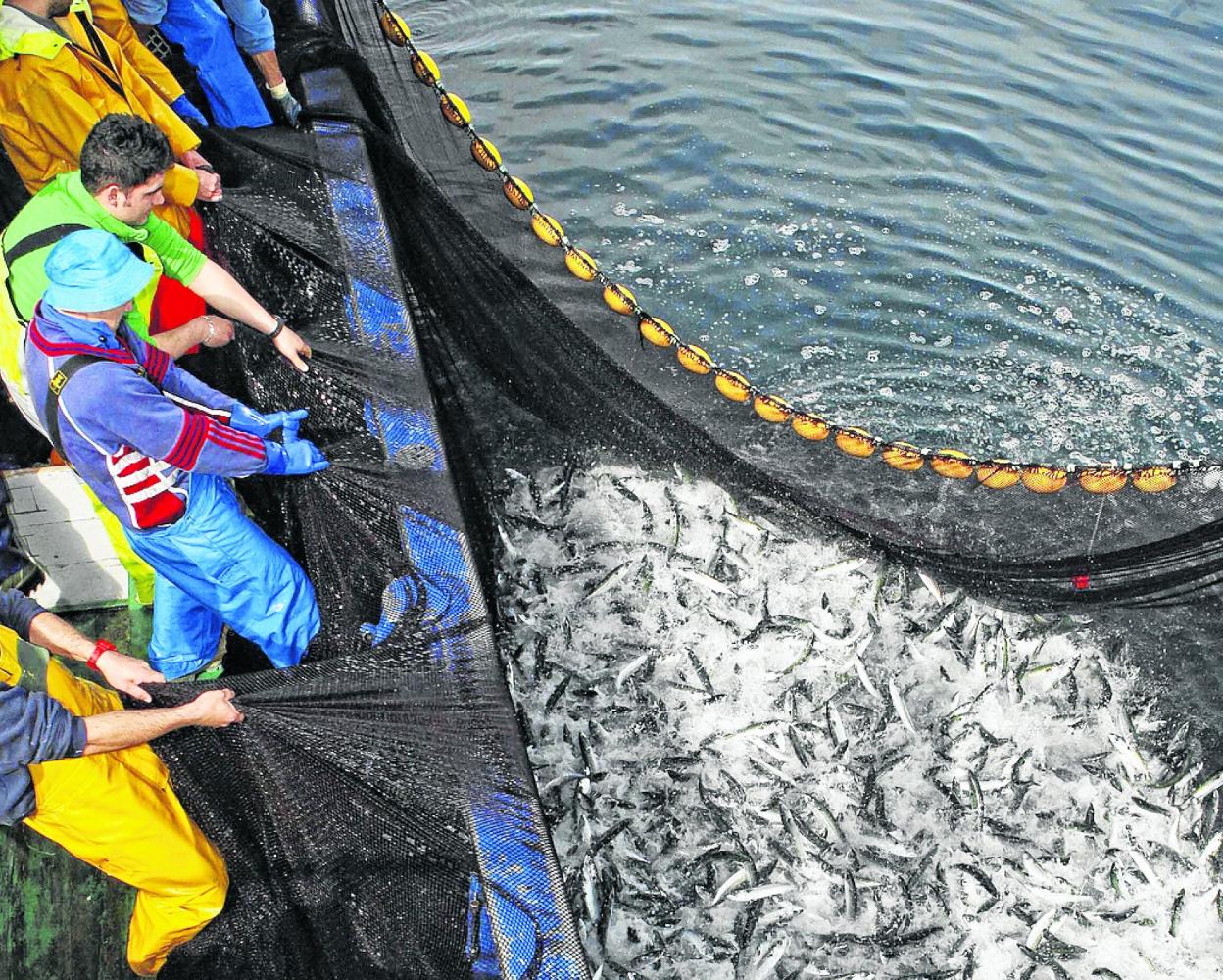 Los profesionales de la pesca ya no dependerán únicamente de la normativa estatal. 