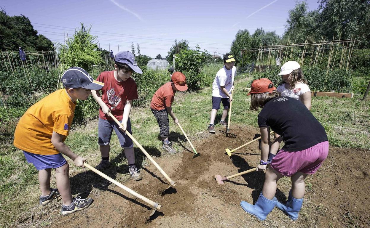 Imagen de archivo del programa 