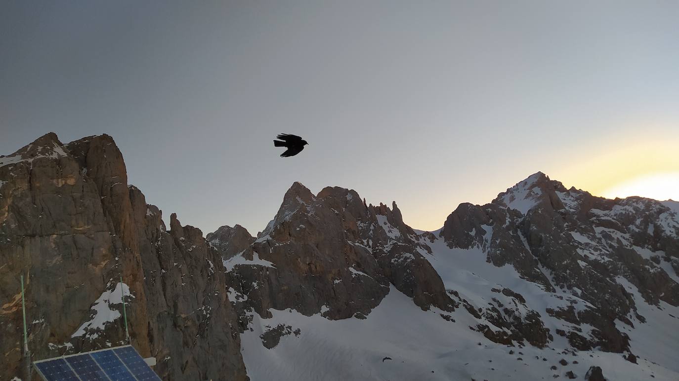 El aventurero ha coronado a la cima de Cantabria junto a la suancina Raquel García dentro del proyecto 'Montañas montañosas' de la Fundación Gomaespuma, en el que se propone tocar el techo de las 50 provincias de España en 90 días