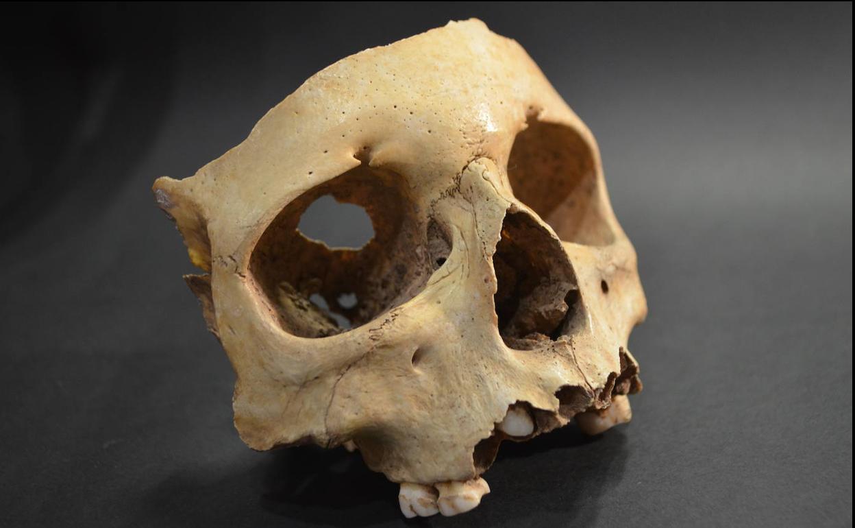 El Mupac abrirá su temporada expositiva con la muestra 'Vida y muerte en Cantabria'