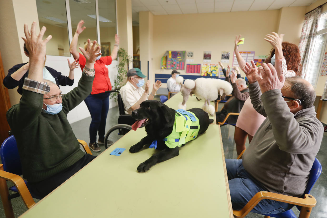 La residencia retoma la terapia con los animales del Centro Canino Besaya tras paralizar durante un año todas las actividades 