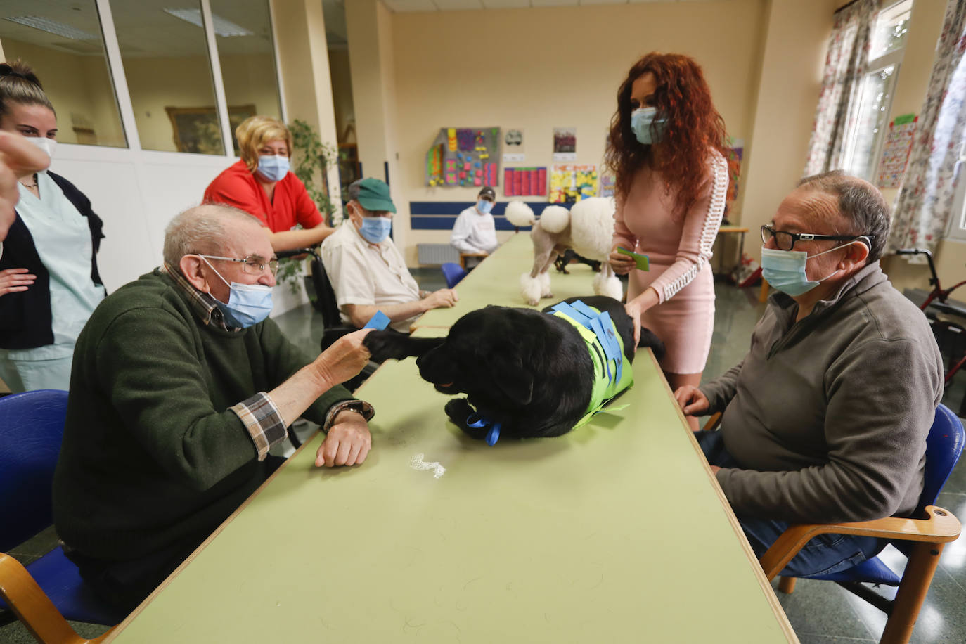 La residencia retoma la terapia con los animales del Centro Canino Besaya tras paralizar durante un año todas las actividades 