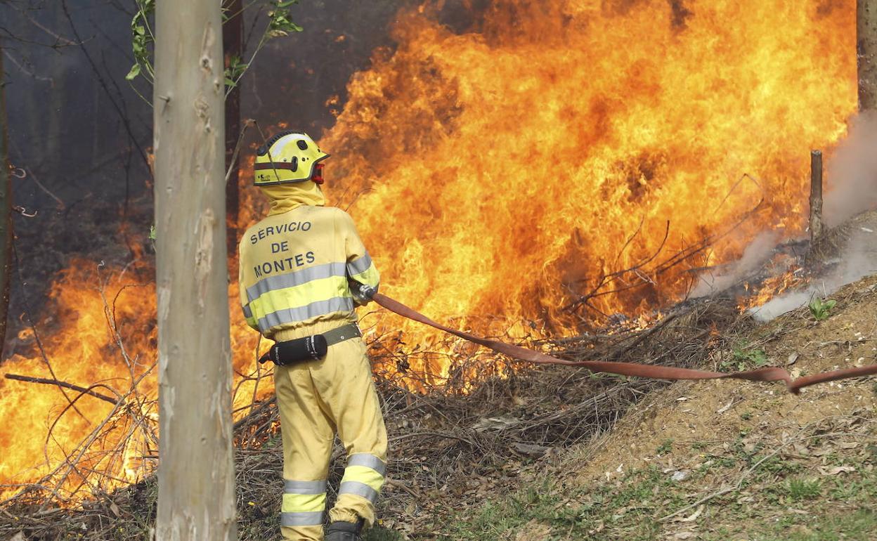 Un bombero forestal trabaja en la extinción de un incendio en Cantabria. 