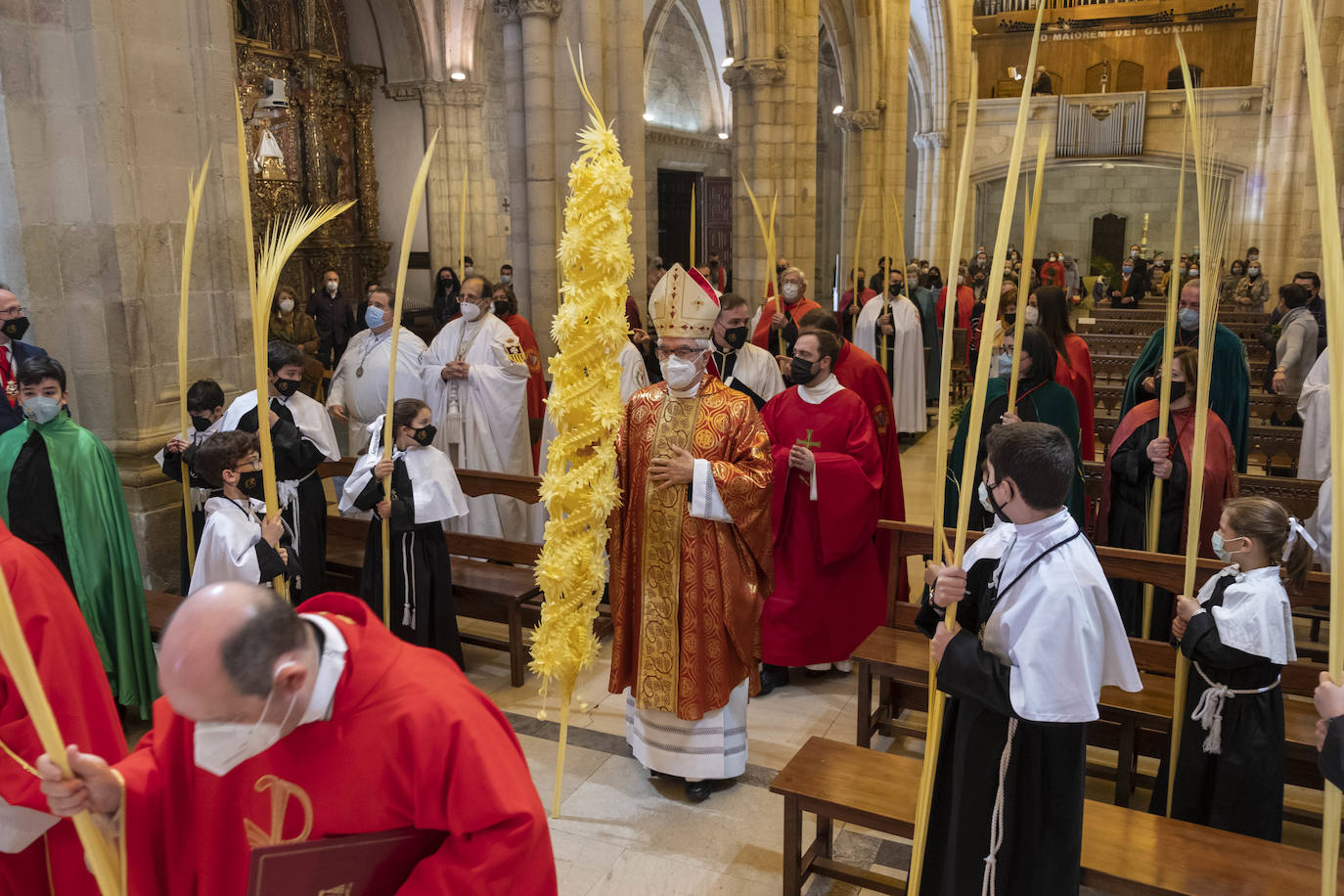 Fotos: Domingo de Ramos en Santander y Torrelavega