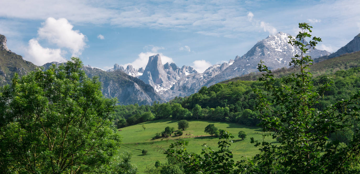 Pico calcáreo situado en el Macizo de los Urrieles en los Picos de Europa. Administrativamente se encuentra situado en el concejo asturiano de Cabrales y dentro del parque nacional de Picos de Europa. Tiene una altitud de 2519 metros y, aunque no es el pico más alto de la Cordillera Cantábrica, es uno de sus montes más conocidos. Es una de las cumbres emblemáticas de España para la escalada por sus grandes paredes, especialmente por los 550 metros de pared vertical de su cara Oeste. En su base se encuentra la Vega de Urriellu, un valle de origen glaciar cuaternario.