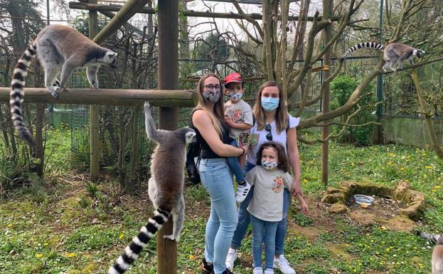 Patricia, Raquel y sus hijos, Martín y Dylan, junto a tres lémures de cola anillada de Madagascar. 