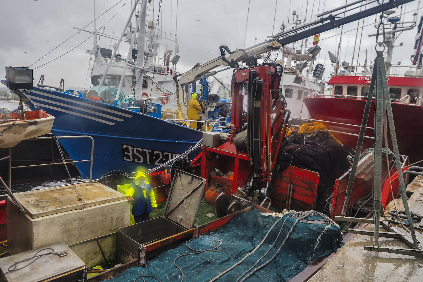 Fotos: Santoña subasta más de medio millón de kilos de bocarte, el récord de la costera