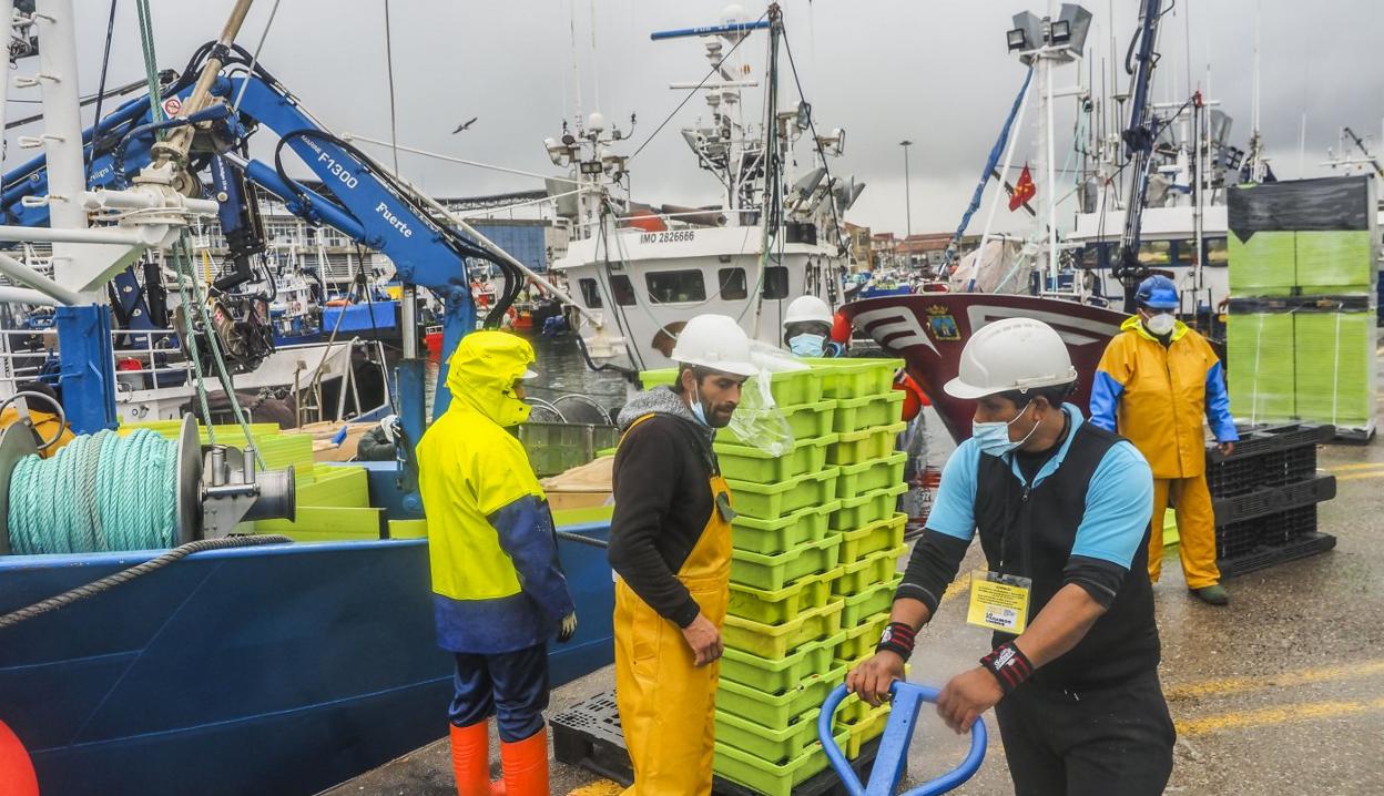 Los marineros, ayer, mientras descargan las cajas de bocarte y verdel que subastaron durante de la mañana en la Cofradía de Santoña.