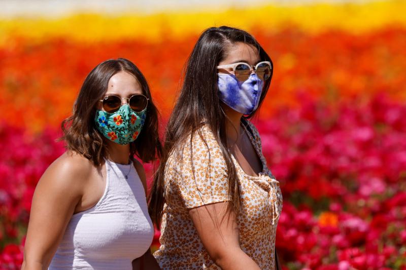 Fotos: Un campo de flores de cuento