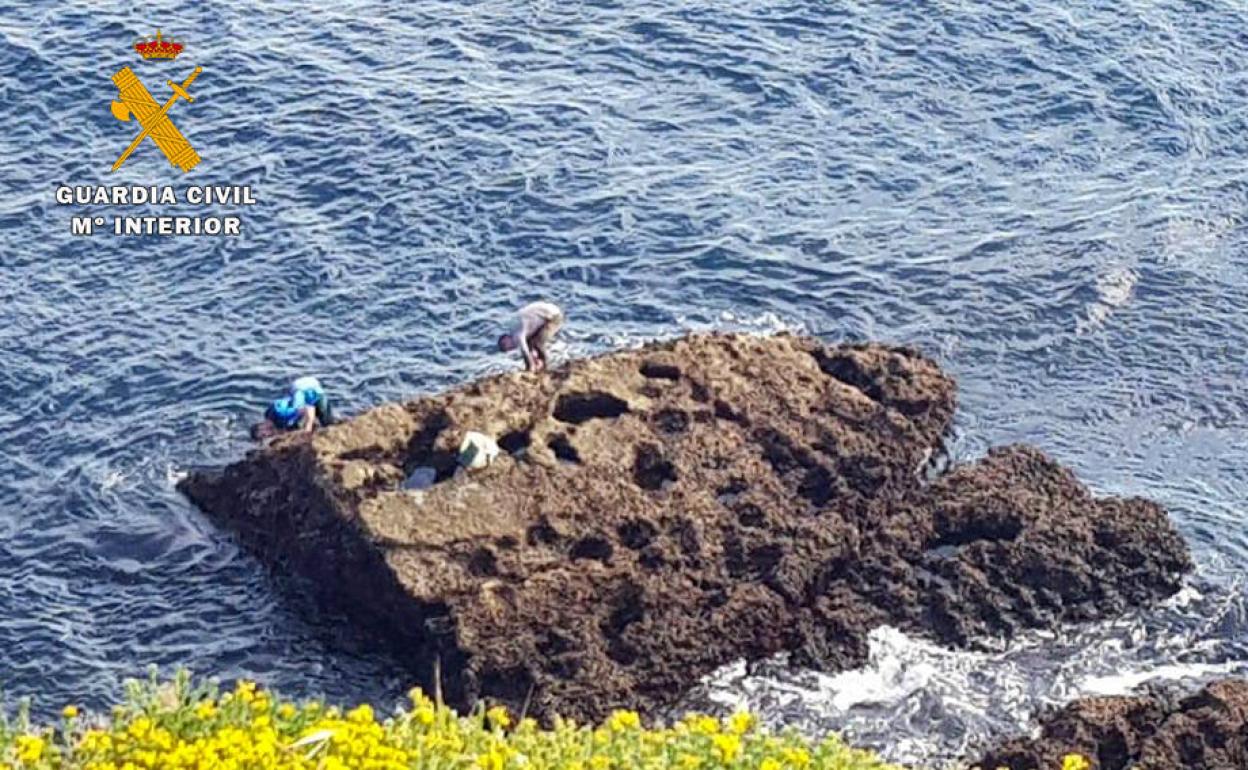 Los detenidos mariscando en los acantilados de Punta de Sonabia, zona protegida