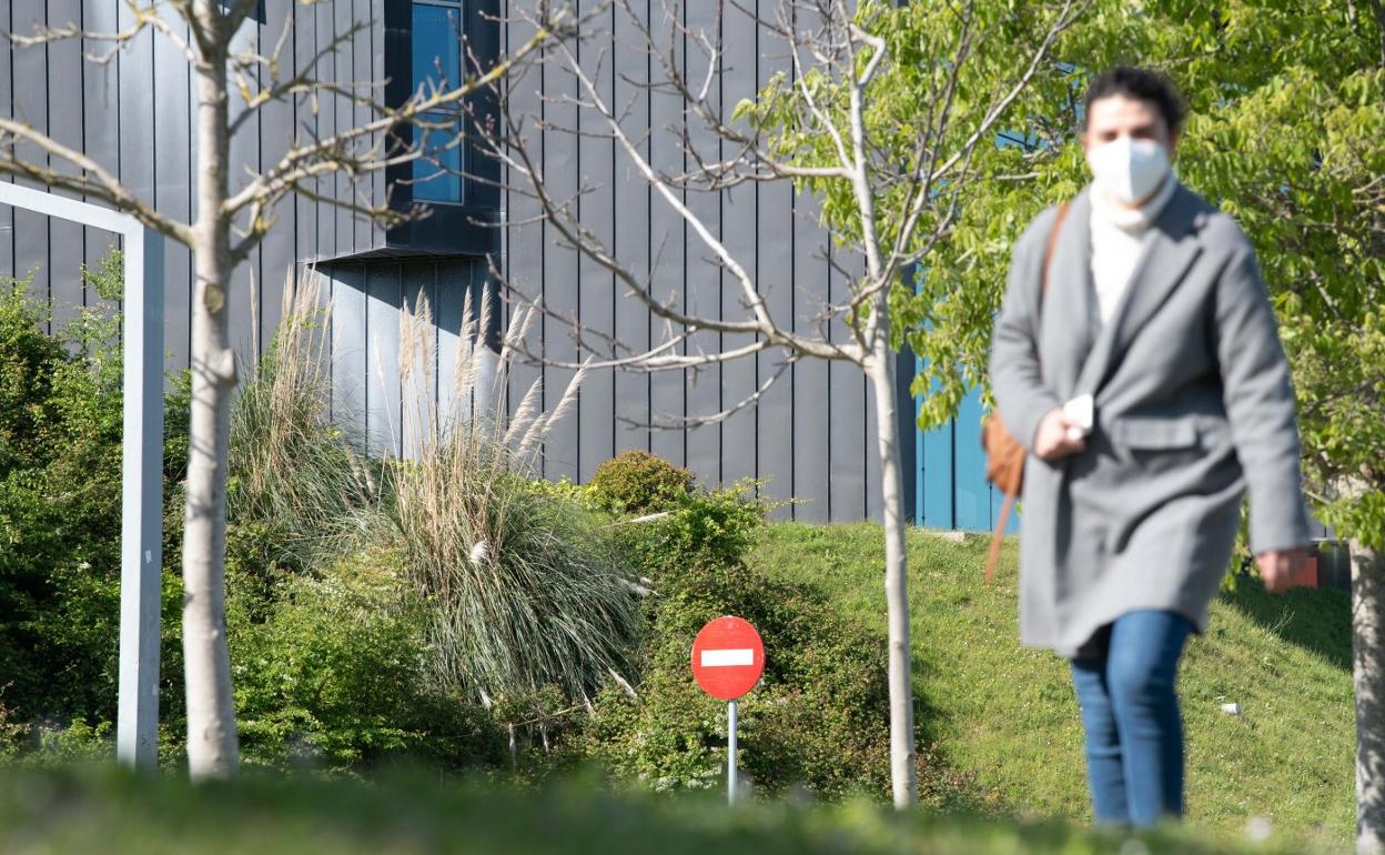 La población de plumeros forma parte del paisaje en algunas zonas exteriores del campus. 