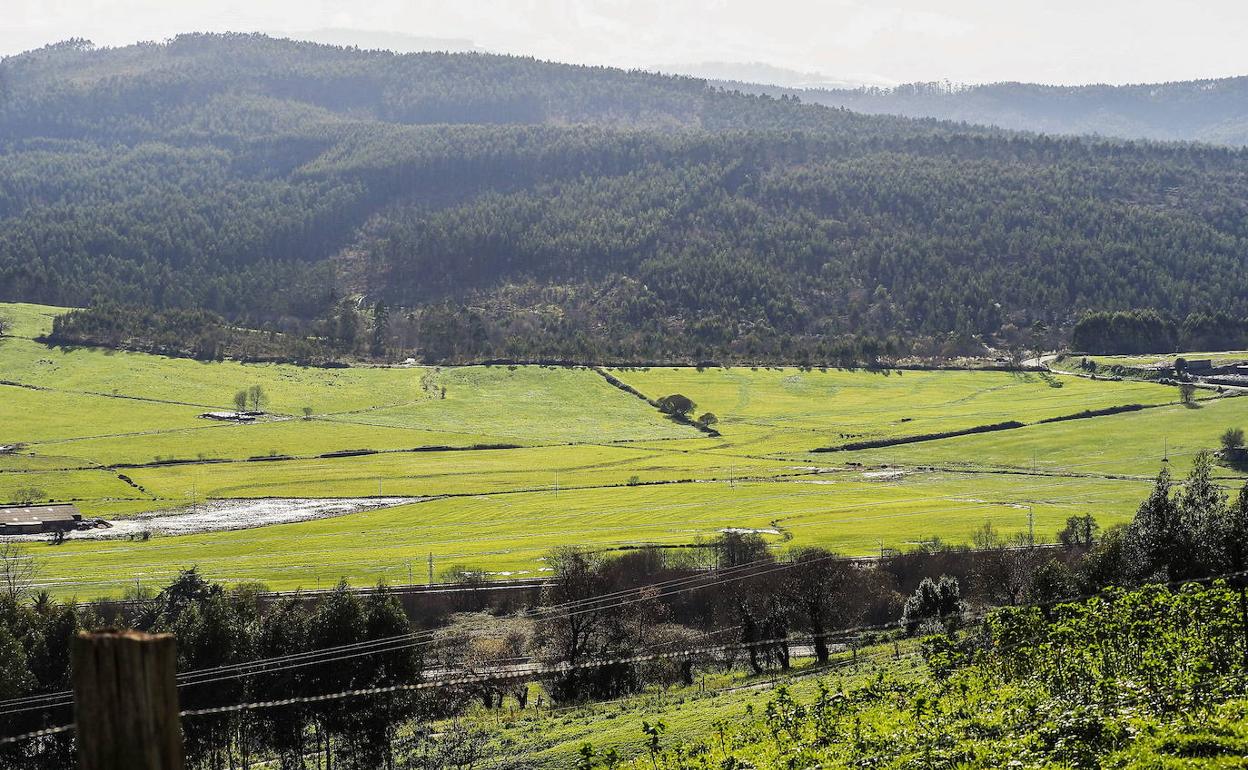 Llano de La Pasiega en Parbayón.