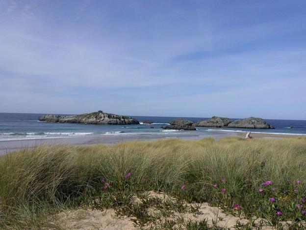 Frente a la costa de Noja se encuentra el islote de San Pedruco, que en los últimos años se ha convertido en un importante espacio de nidificación de aves, albergando cerca de 500 parejas de garcilla bueyera y 20 de garceta común.