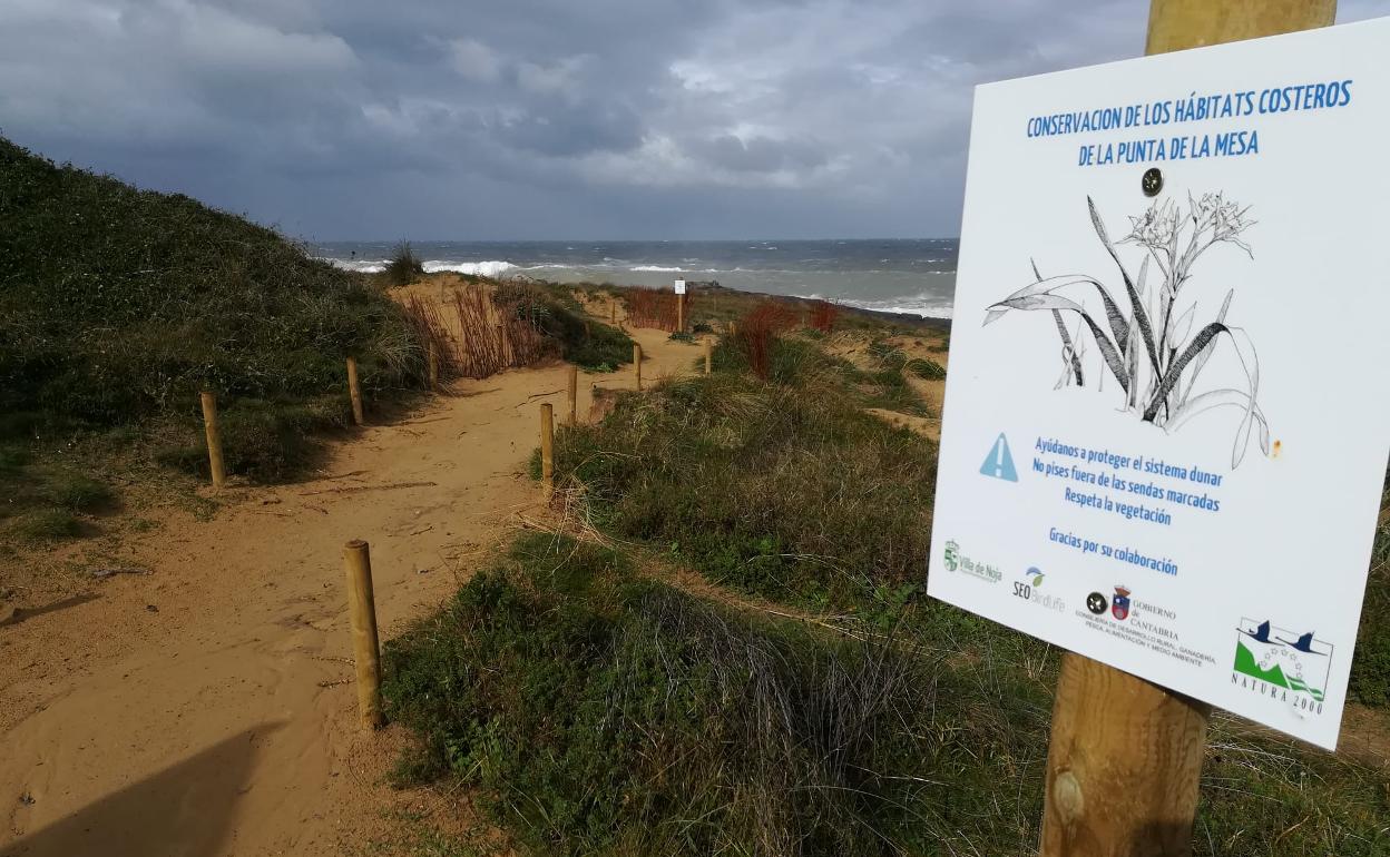 Noja ha renovado su acreditación de destino turístico sostenible por la Green Destinations Award & Certification Program, galardón que reconoce las políticas desarrolladas respetando en todo momento el entorno natural y la sostenibilidad.