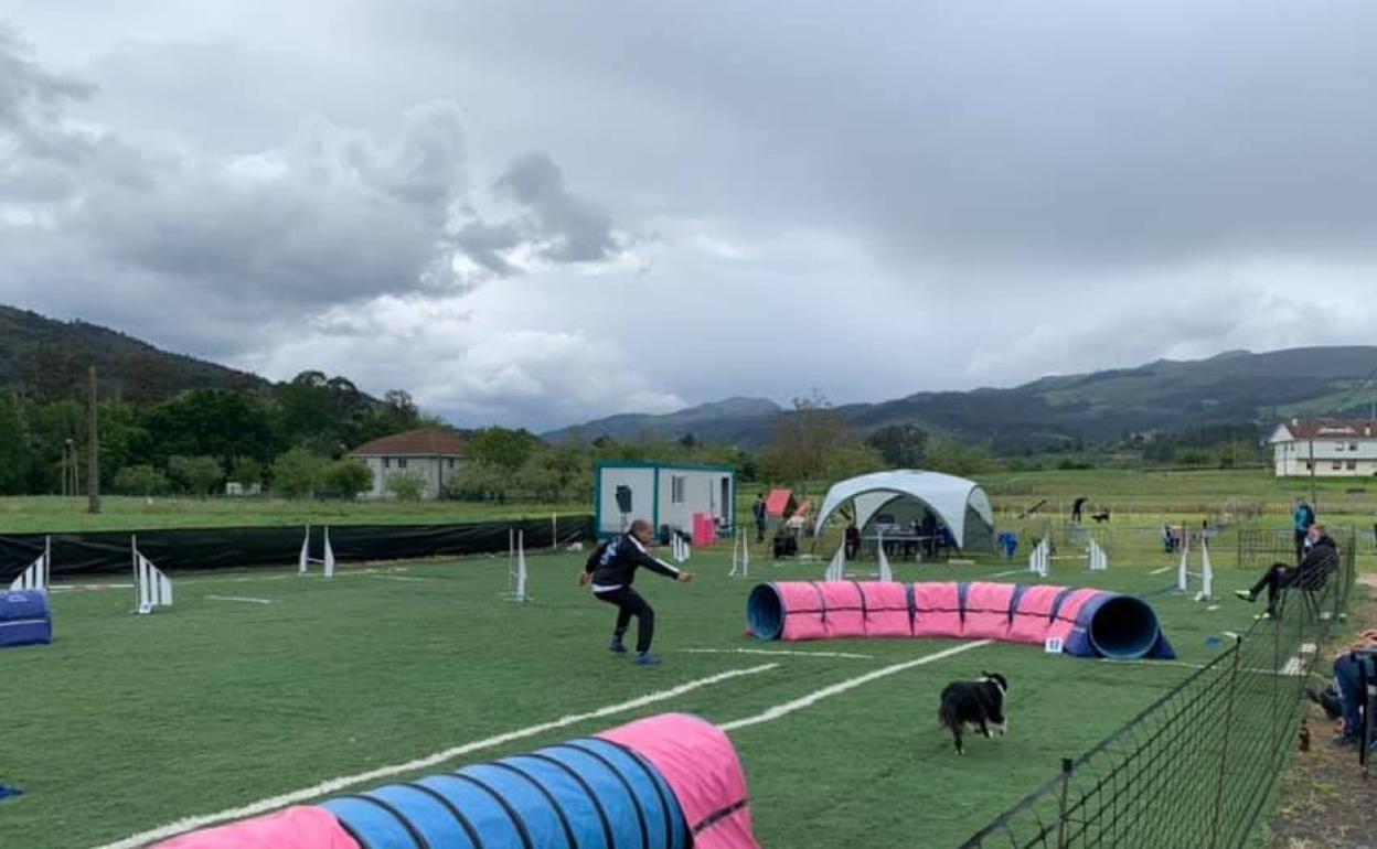 Un participante durante la prueba de Agility celebrada en Guriezo.