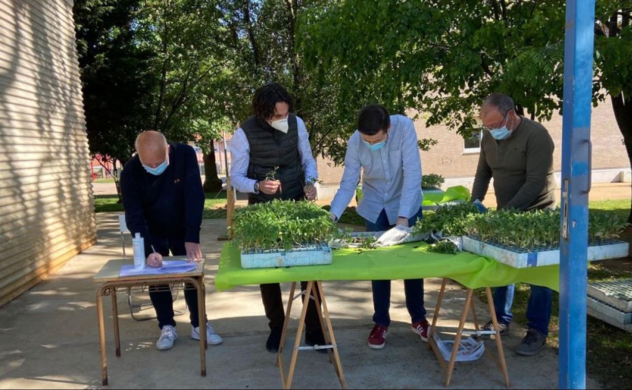 El alcalde, Javier Fernández Soberón, ha estado presente en la entrega de las plantas de tomate, junto al concejal de Barrios y presidente de la Junta Vecinal de Guarnizo, Alejandro Hoz.