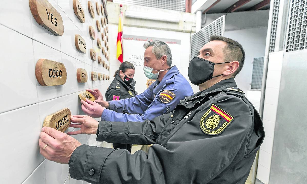 Los agentes colocan los nombres de las dos pastores belgas recién llegadas en el mural de la Unidad Canina. 