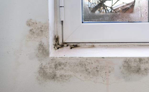 Condensación y moho en una ventana. 