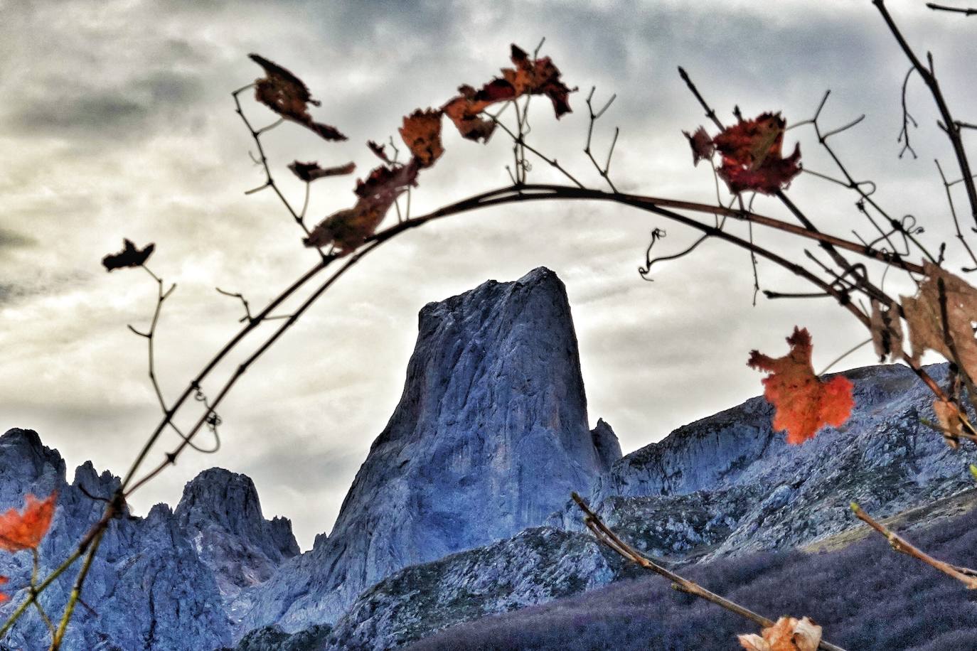 El Parque Nacional de los Picos de Europa cuenta con las cumbres más altas de la Cordillera Cantábrica, lo que indudablemente le da un enorme atractivo paisajístico, turístico y deportivo. Es el tercer Parque Nacional más visitado de España, con casi dos millones de visitantes anuales y fue declarado Reserva de la Biosfera en 2003.