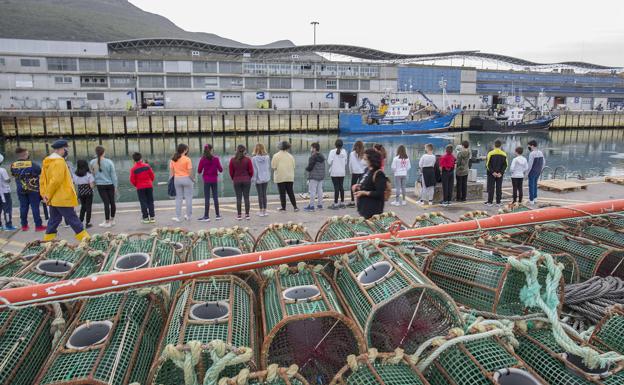 Los escolares de Santoña han visitado las dos últimas semanas la Cofradía de Pescadores. 