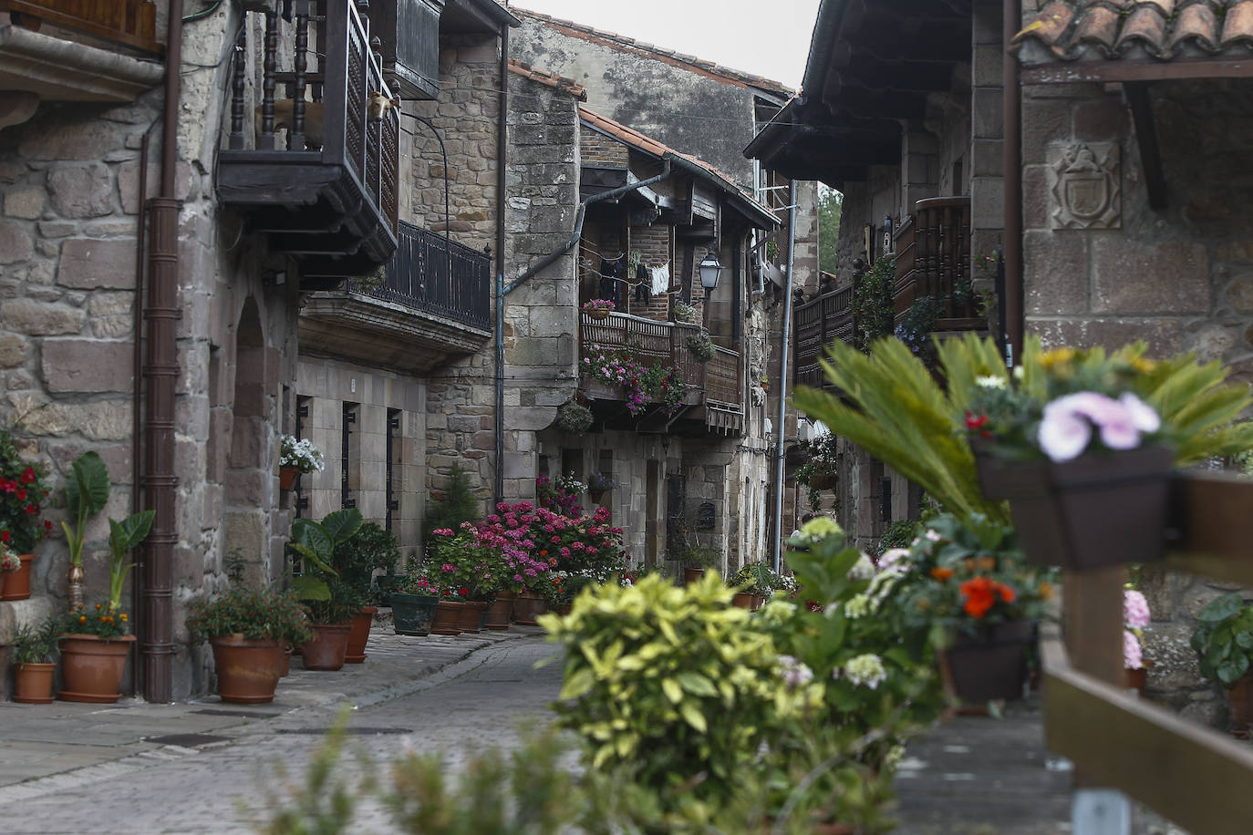 El Jurado de Pueblo de Cantabria ha elegido este año a esta localidad de Cartes por ser la que «mejor» se ha adaptado a los objetivos del proyecto, por la «calidad» de su propuesta y el por «interés» del Ayuntamiento y sus vecinos, que han salido a la calle a celebrar el reconocimiento