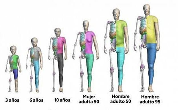 El software gratuito de modelación humana de Toyota triunfa en descargas