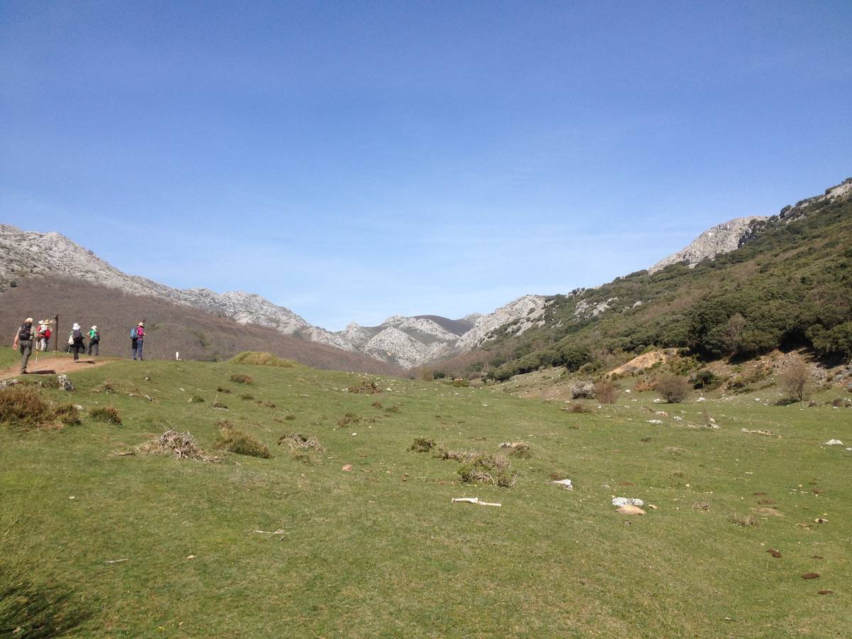 Fotos: Escapada a la Montaña Palentina: la magia de la Tejeda de Tosande