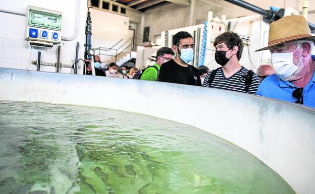 Imagen. Los congresistas, durante una visita a unas instalaciones de acuicultura. 