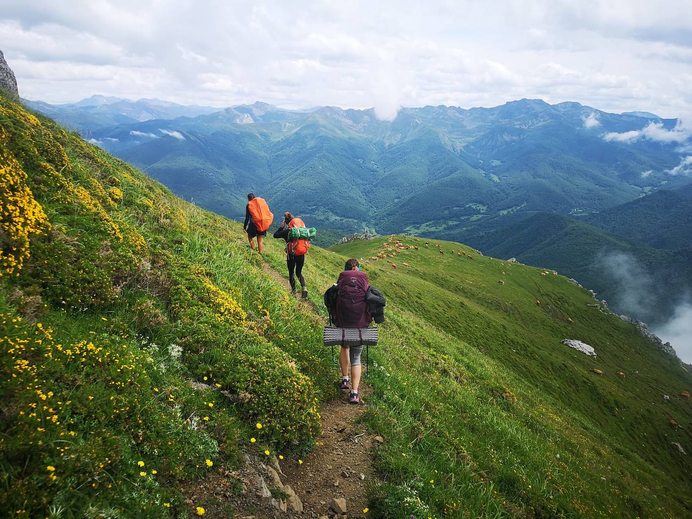 Pertenecen al grupo de Facebook 'Montaña en Femenino' y se han conocido para disfrutar de esta experiencia. Durante el camino confiesan que se han cruzado con montañeros a los que «les chocaba vernos juntas en el monte o, más bien, sin una figura masculina que tutelase al grupo»