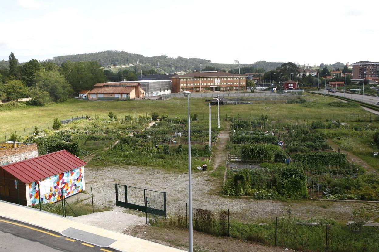 La parcela se ubica entre la finca de los huertos urbanos -en primer término- y el colegio Mies de Vega -al fondo-. luis palomeque
