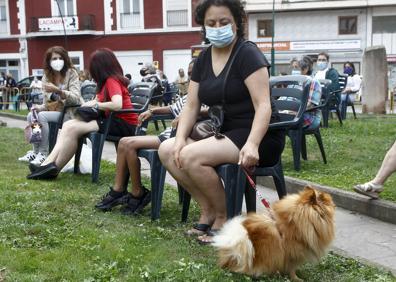 Imagen secundaria 1 - Desfiles y bendición de perros en La Patrona