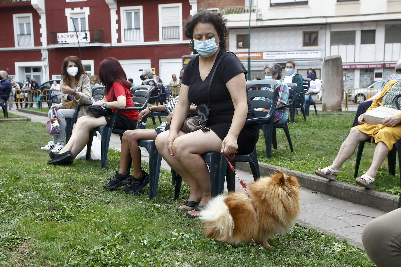 Fotos: Los perros, bendecidos por La Patrona