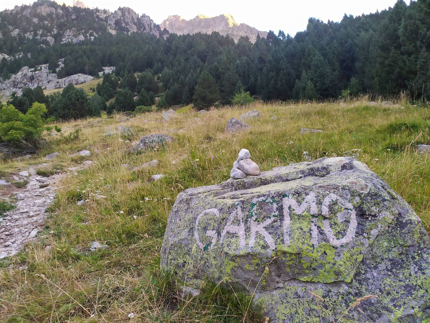 La subida atraviesa un frondoso bosque hasta llegar a la Malleta Baja.