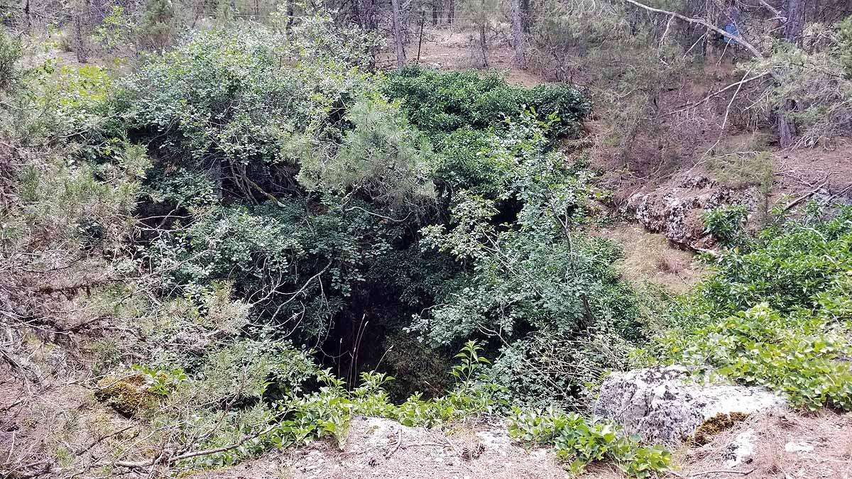 Fotos: Recorrer las esculturas naturales que el río Lobos ha esculpido