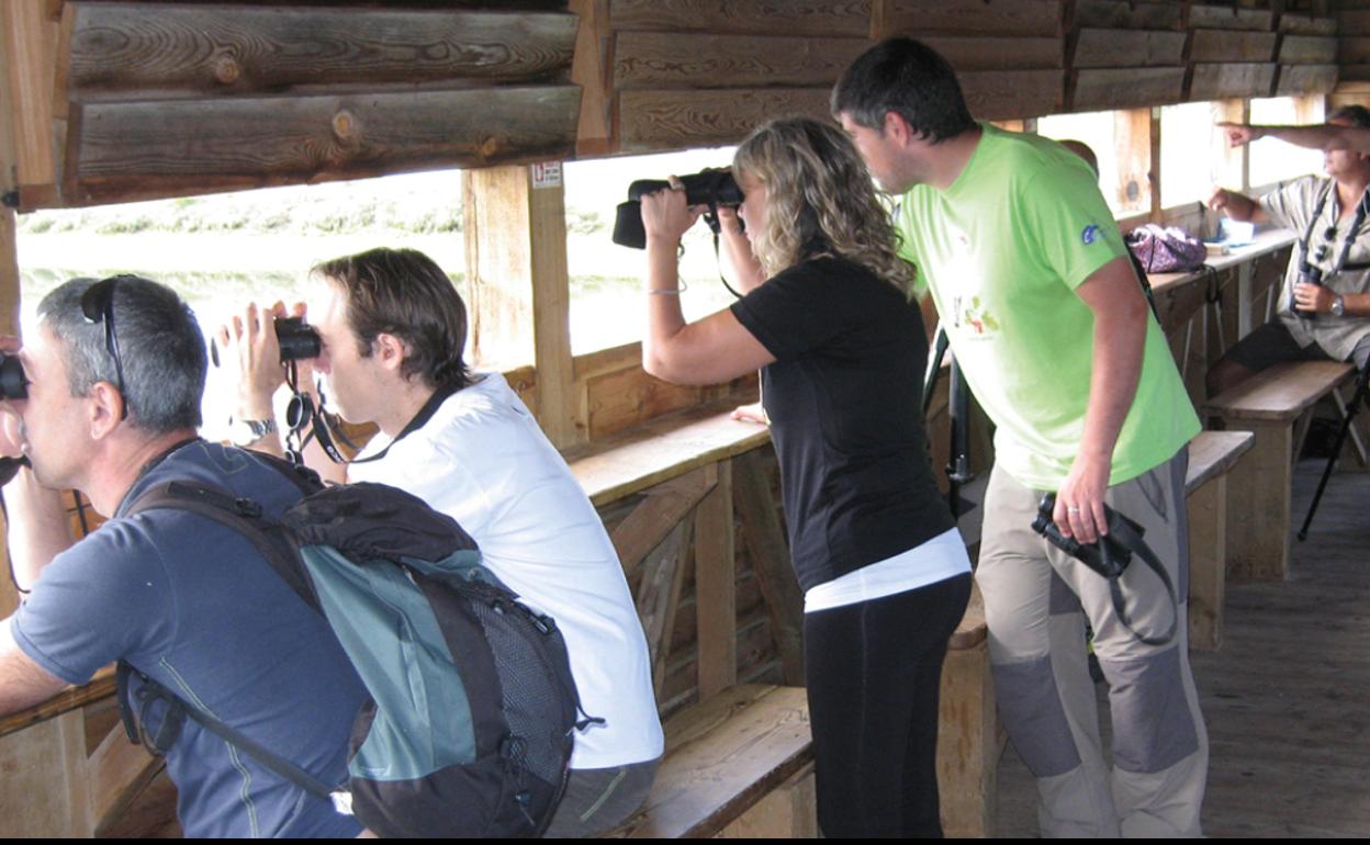 Taller de observación de aves.