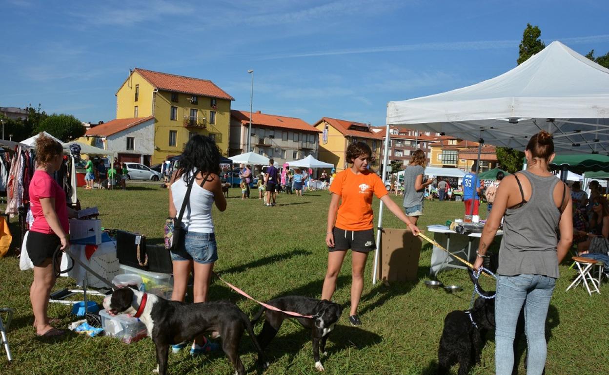 La Cantábrica acoge cada año este Encuentro Canino, con el fin de fomentar el respeto por las mascotas y favorecer una mejor convivencia. 