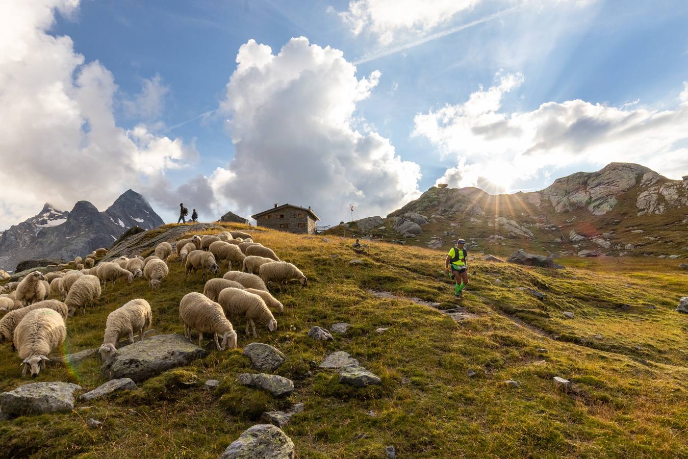 Es una de las carreras más emblemáticas del mundo del ultra trail por sus 330 kilómetros y 24.000 metros de desnivel positivo que recorre el valle italiano de Aosta. Bautizada por sus creadores como la Carrera de los Gigantes, presenta un extraordinario itinerario por las Vias Altas nº1 y 2 que recorren la falda de grandes cimas como el Mont Blanc, el Cervino, el Monte Rosa y el Gran Paradiso, atravesando hasta 25 collados por encima de los 2.000m de altitud. 