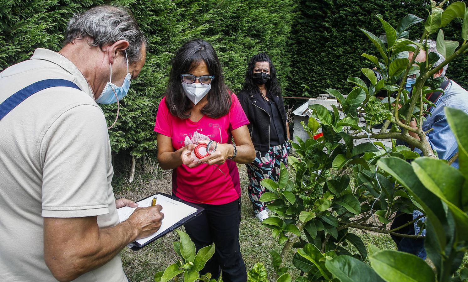 Técnicos de la Consejería de Desarrollo Rural durante la suelta de los parásitos.