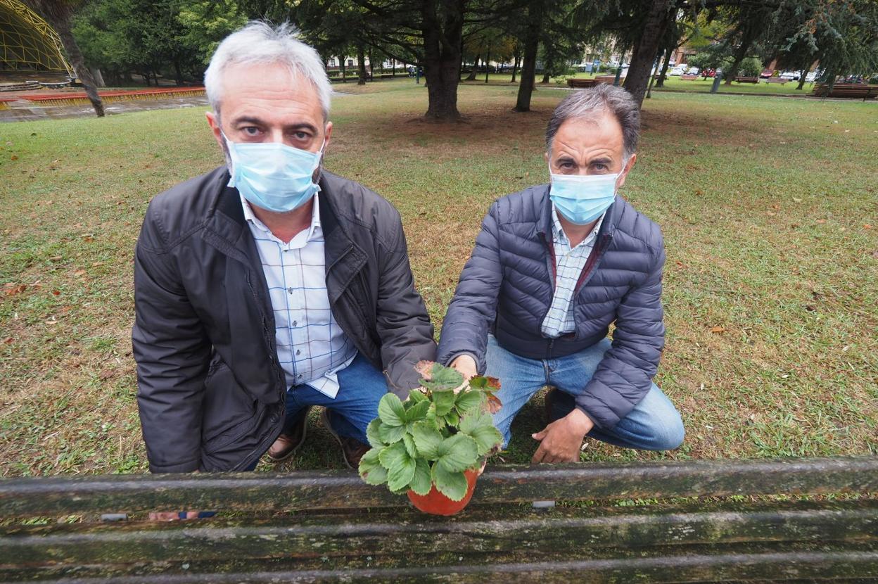 Mateo Rodríguez y Germán Castellano, del colectivo Torrearboleda, muestran una de las plantas de fresa que entregaron a los vecinos. 