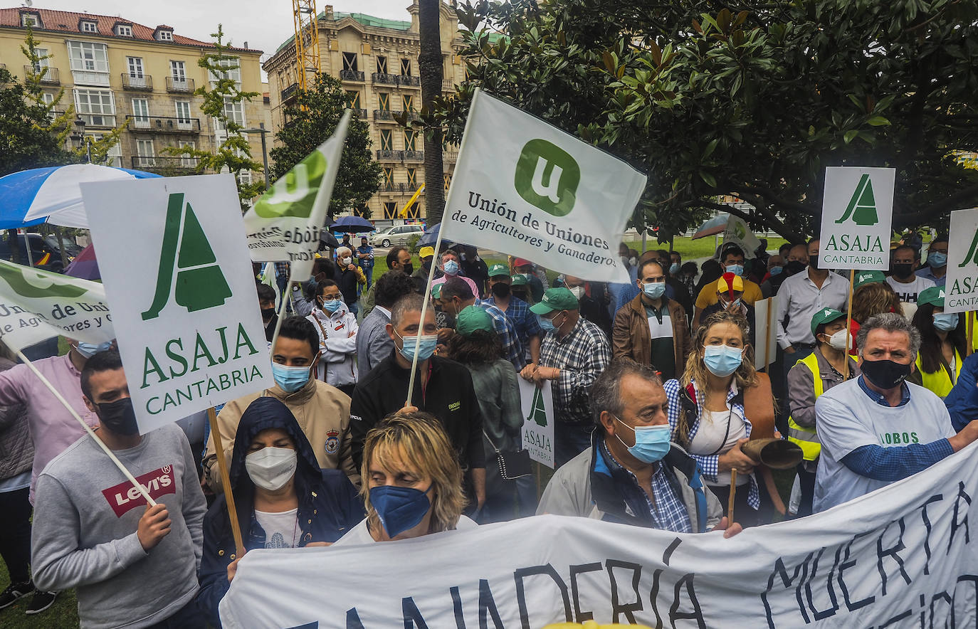  'Ganadería muerta, lobo protegido, Ribera dimisión' era el mensaje de alguna de las pancartas que sostenían los ganaderos.